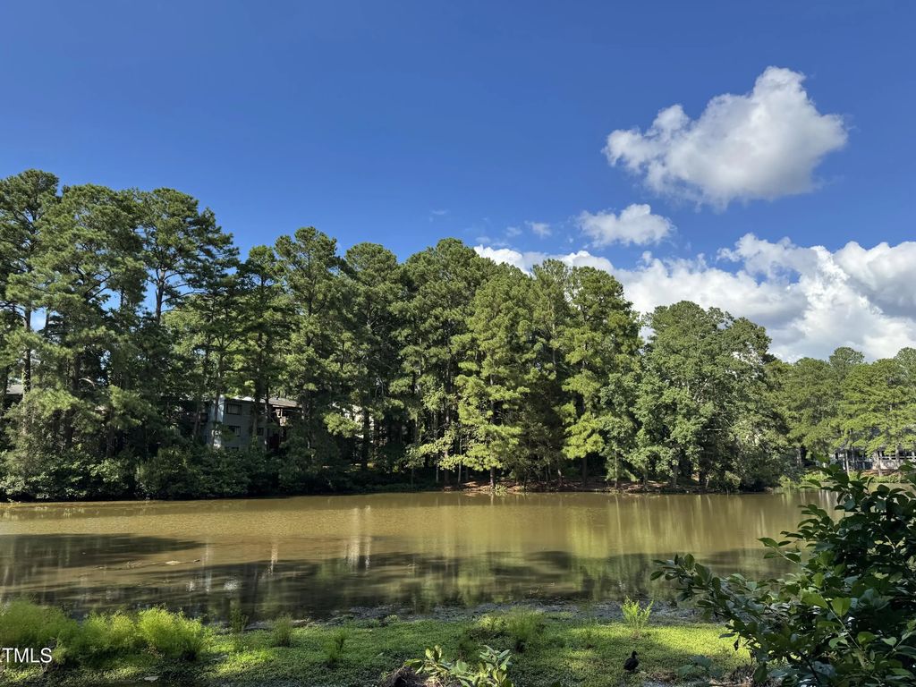 5112 Flint Ridge Place, Raleigh