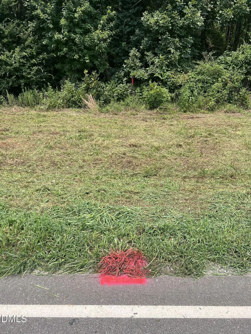 Lot 3 Elmer Moore Road, Siler City