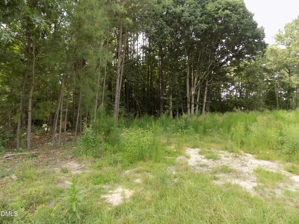 4009 Us 401 N, Louisburg