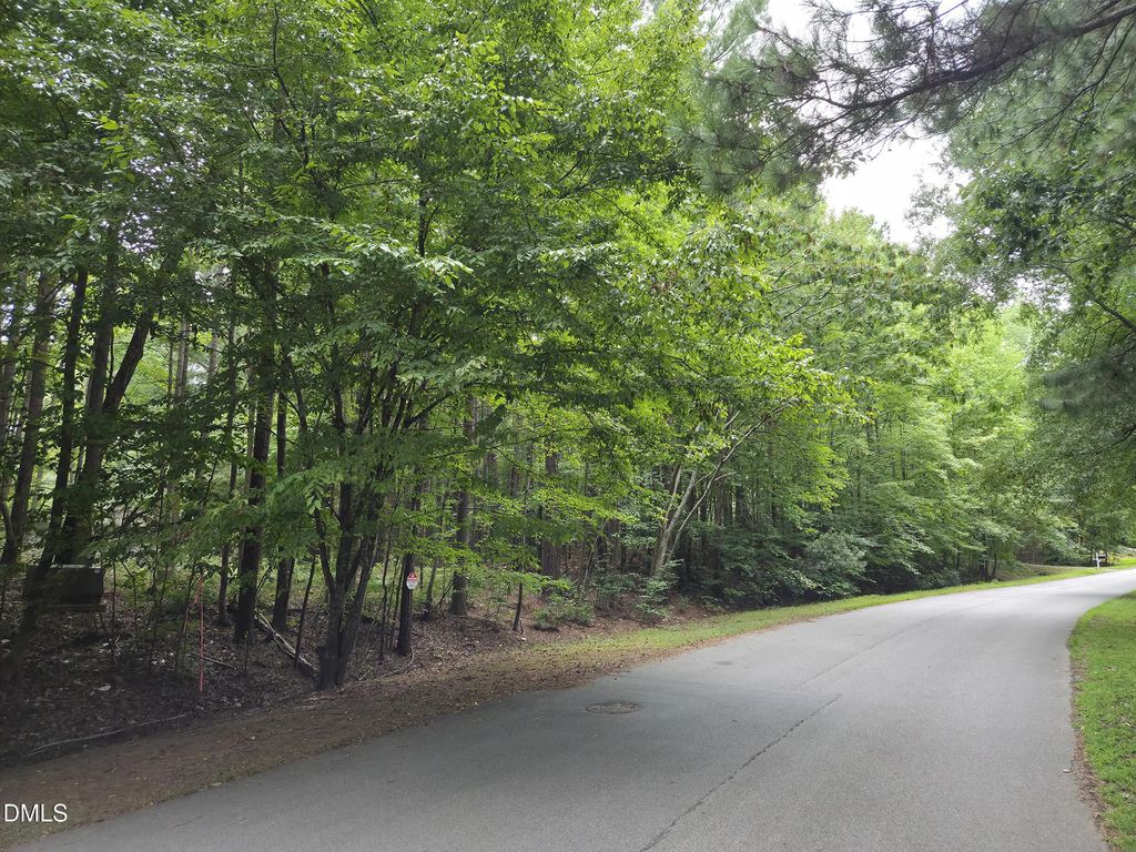 5009 Holly Brook Drive, Apex
