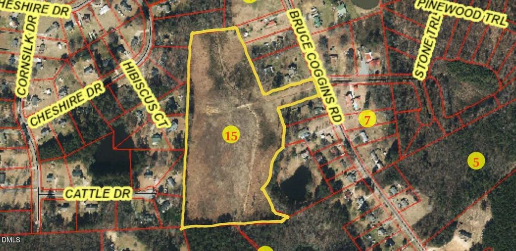 0 Bruce Coggins Road, Sanford