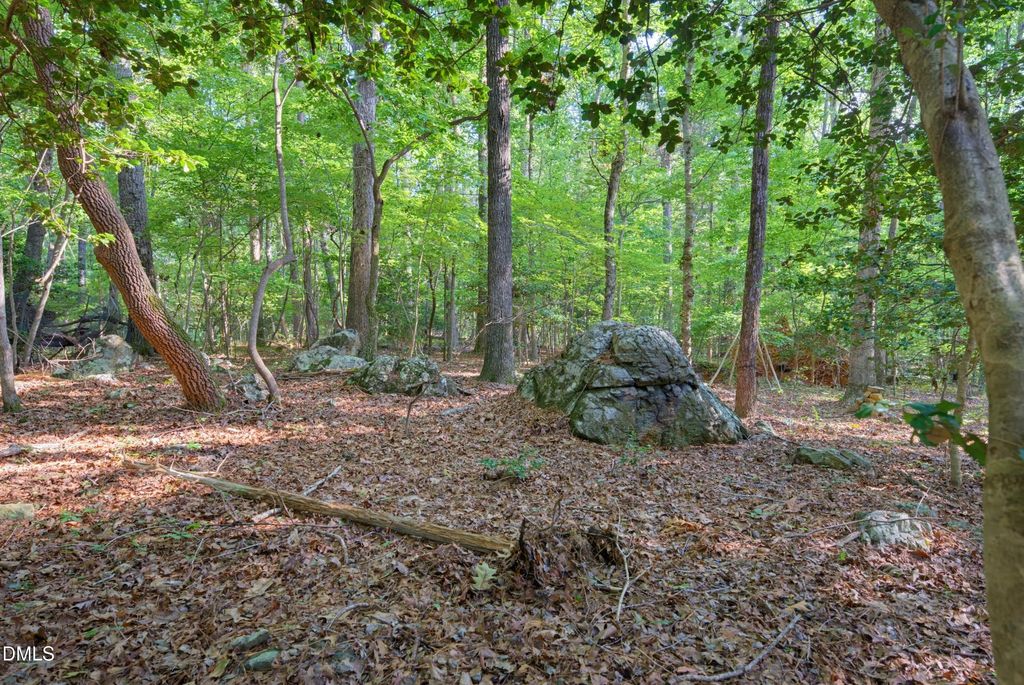 100 Sloping Pond Road, Pittsboro