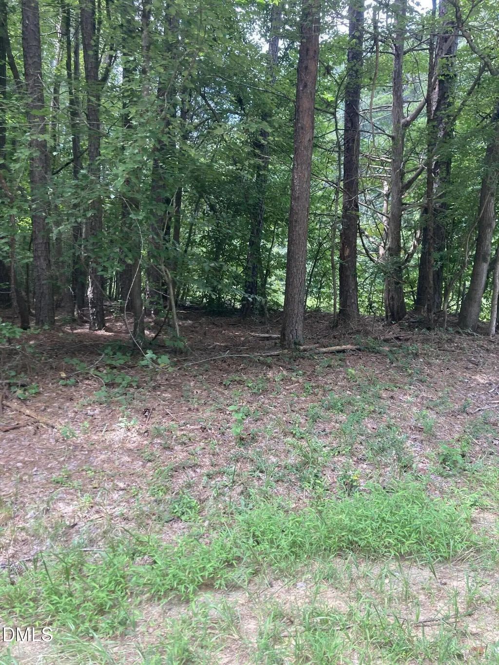 1614 Jones Ferry Road, Chapel Hill