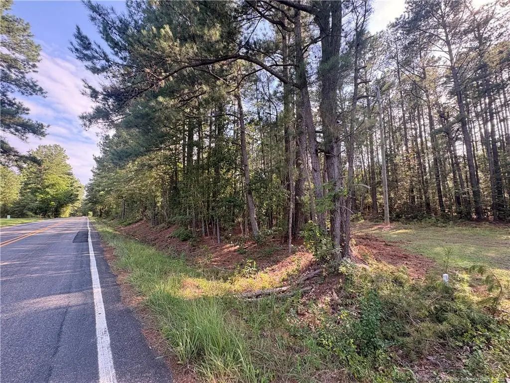 Lot 1 S Plank Road, Sanford