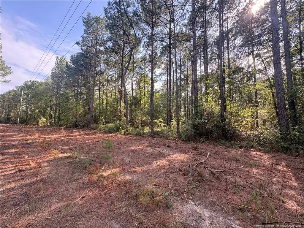 Lot 2 S Plank Road, Sanford