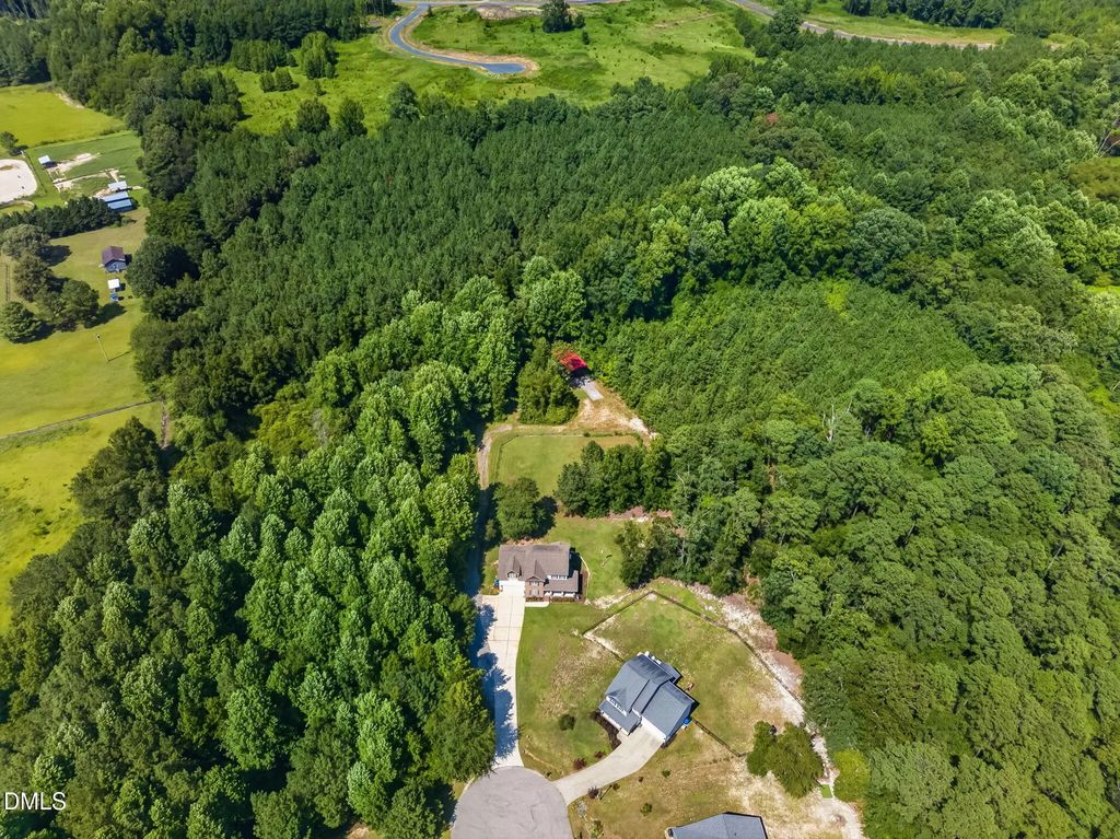 176 Plainview Pointe Drive, Angier
