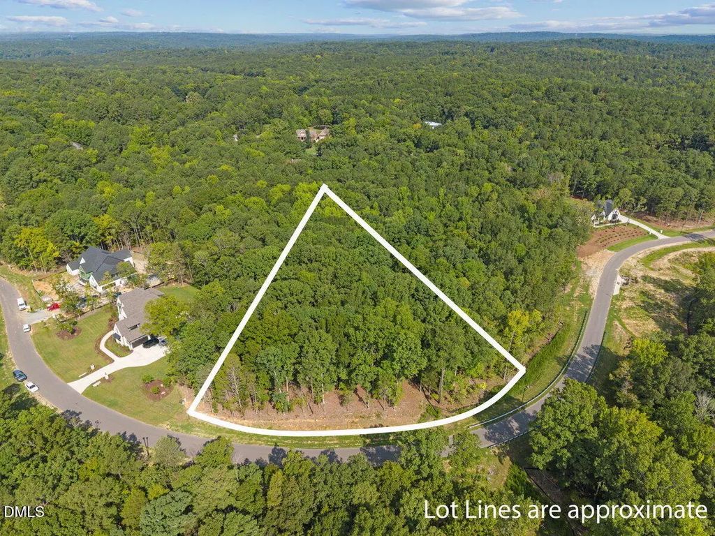 93 Firefly Overlook Road, Pittsboro