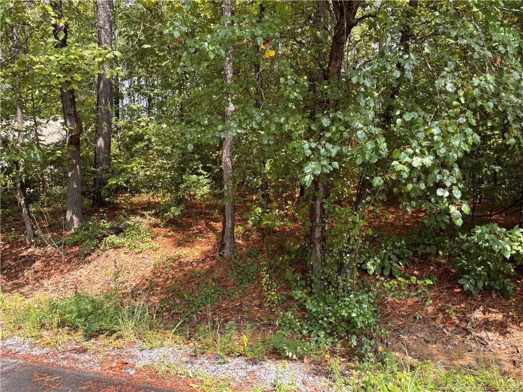 668 Chelsea Drive, Sanford