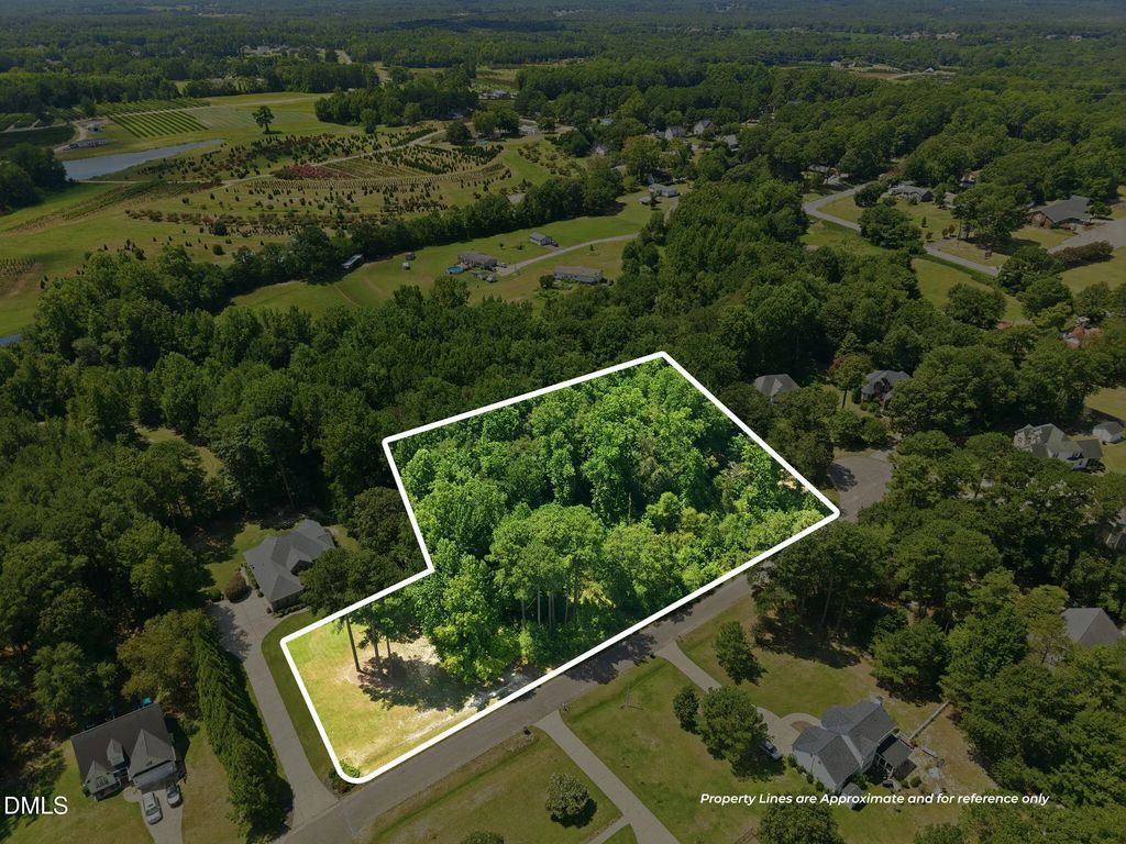 205 Teresa Court, Angier