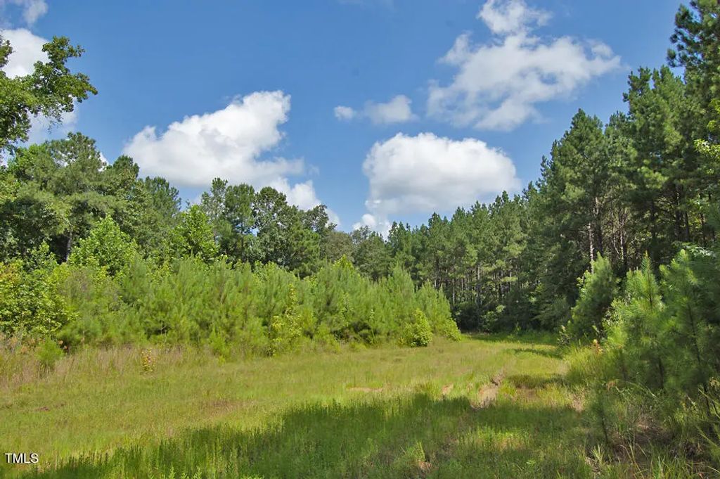 0 Buckhorn Road, Bullock