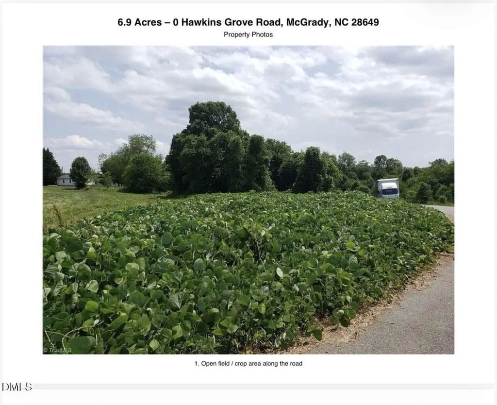 0 Hawkins Grove Road, Mulberry