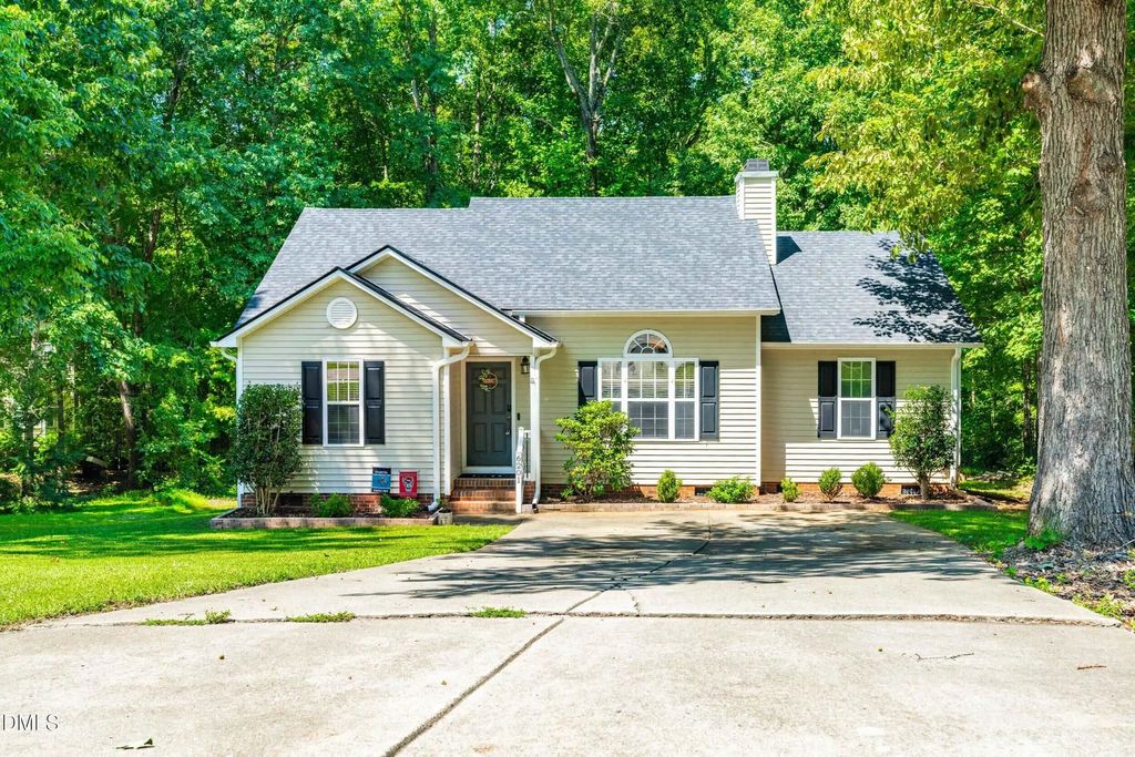 6201 Lilly Stream Court, Willow Springs