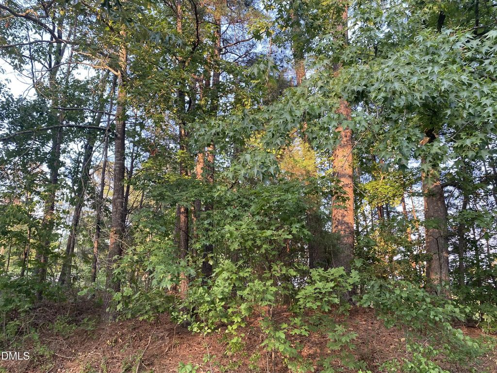2413 Holiday Drive, Raleigh