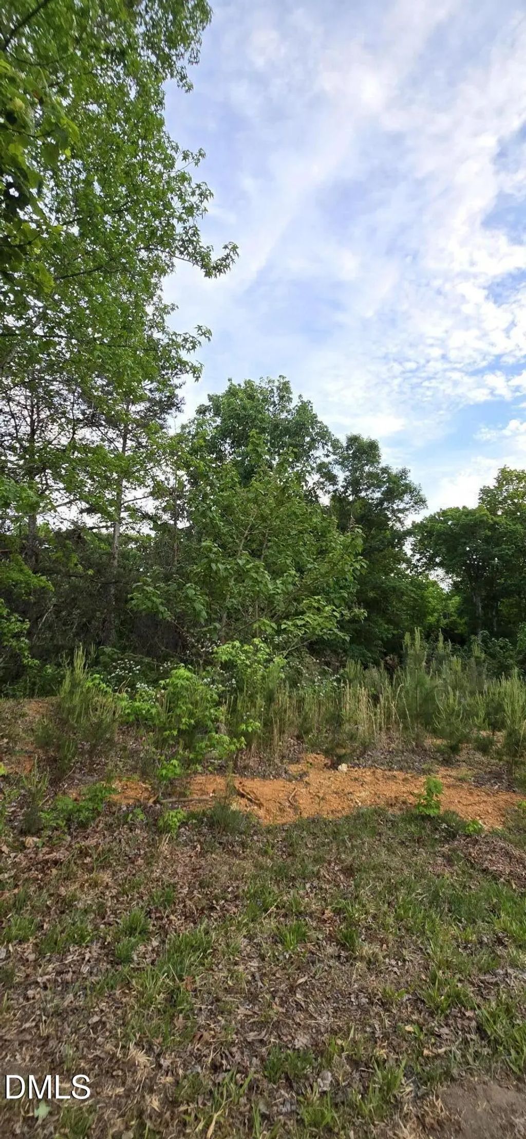 6530 Treetop Court, Snow Camp