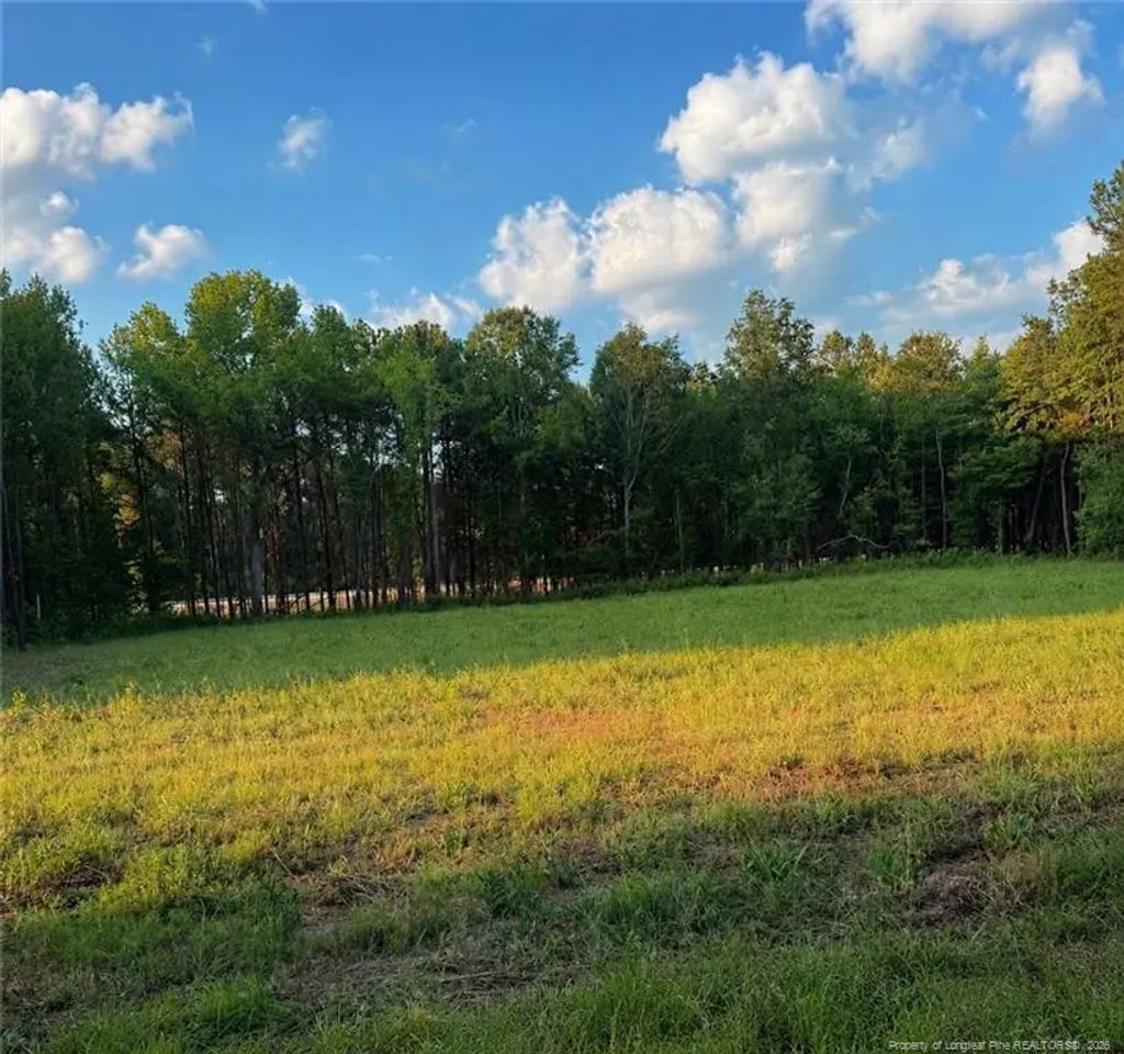 Tbd Myrtle Road, Roseboro