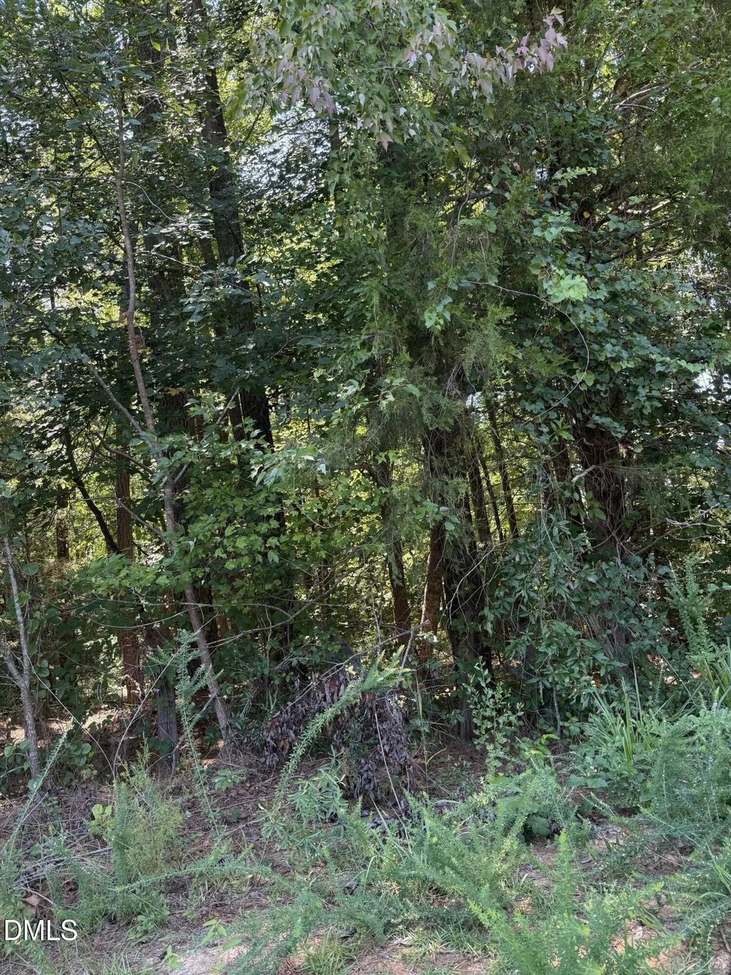 0 Williams Farm Road, Sanford