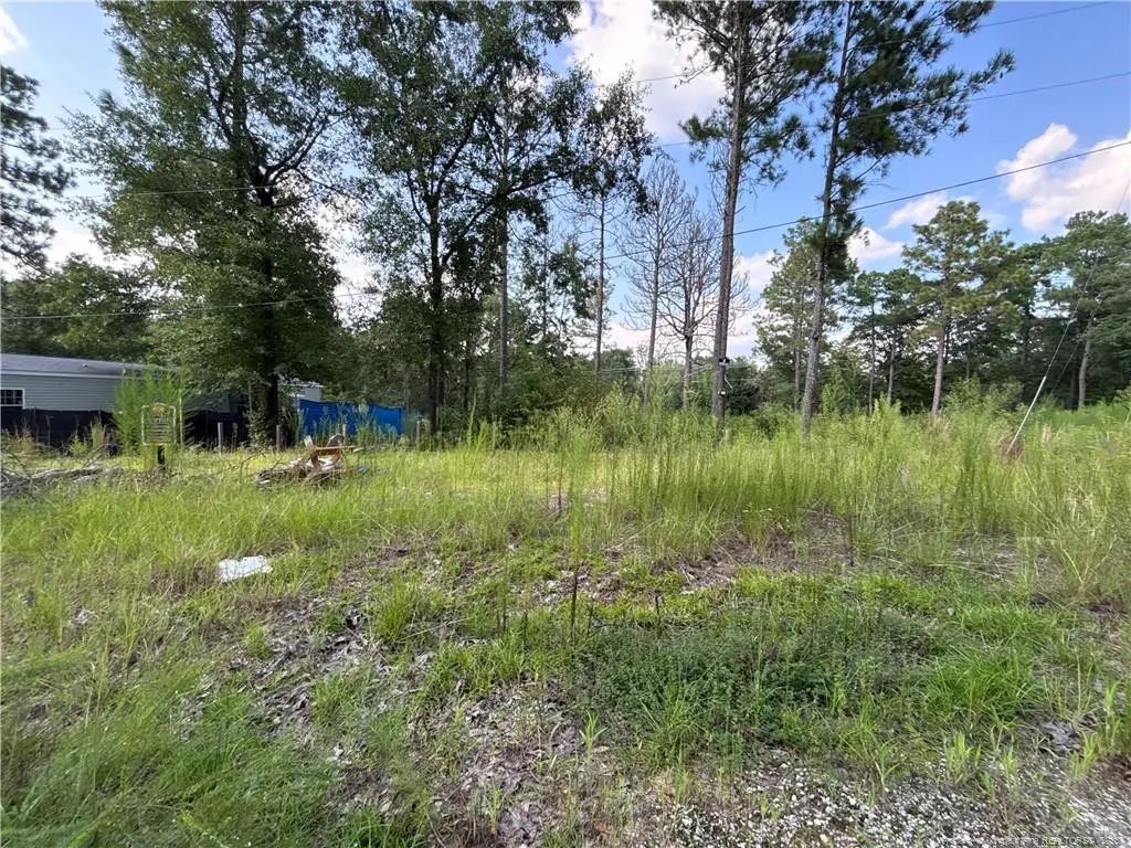 813 Wiregrass Road, Hamlet