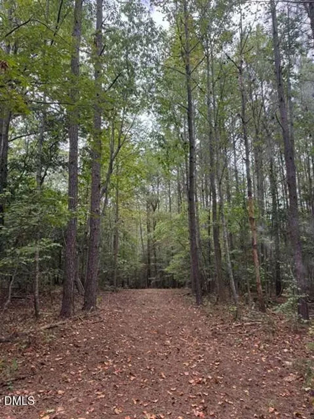 3829 Standing Pine Lane, Zebulon
