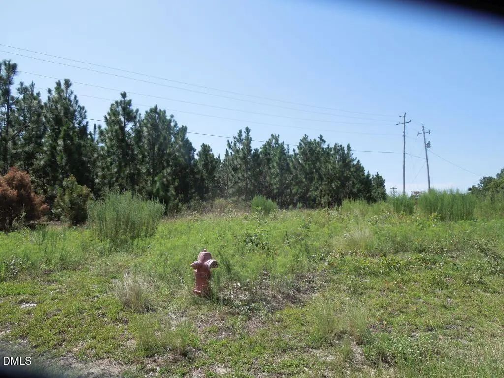 Tbd Hwy 24 And Marks Rd, Cameron