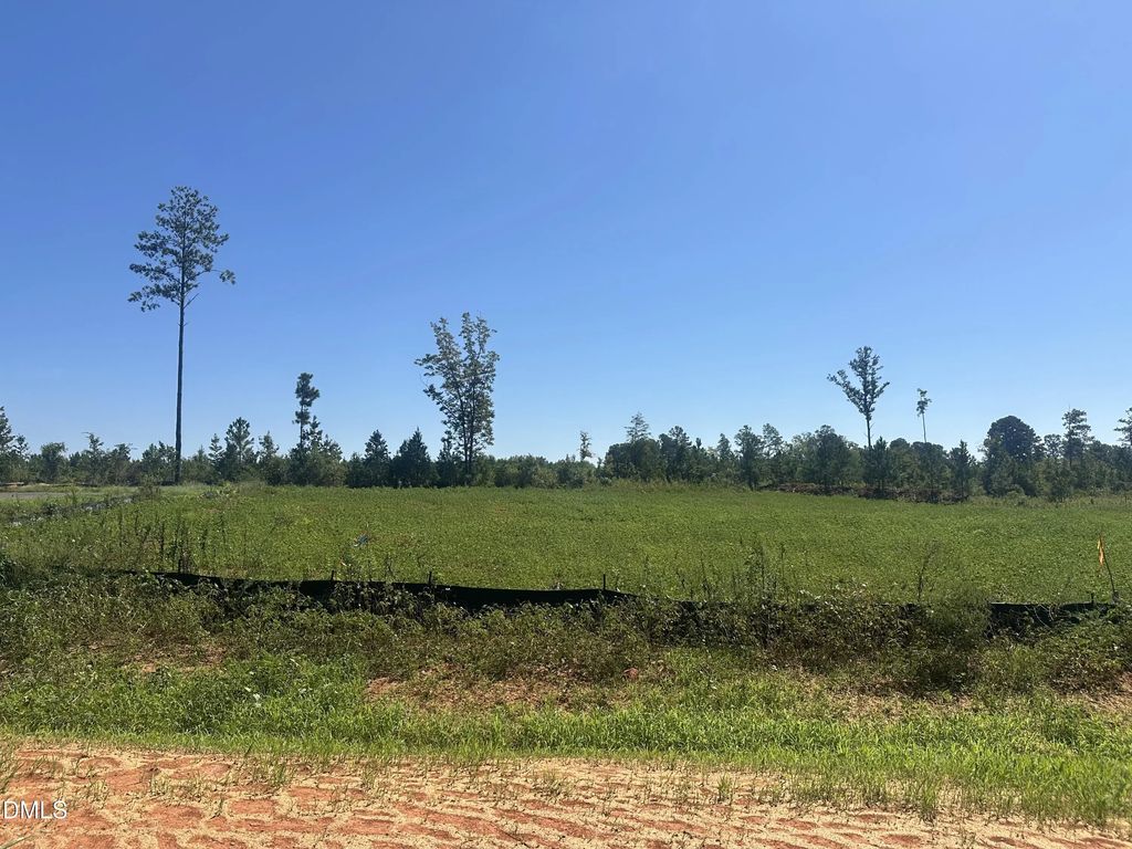 Lot 3 0 W Old Spring Hope Rd, Spring Hope