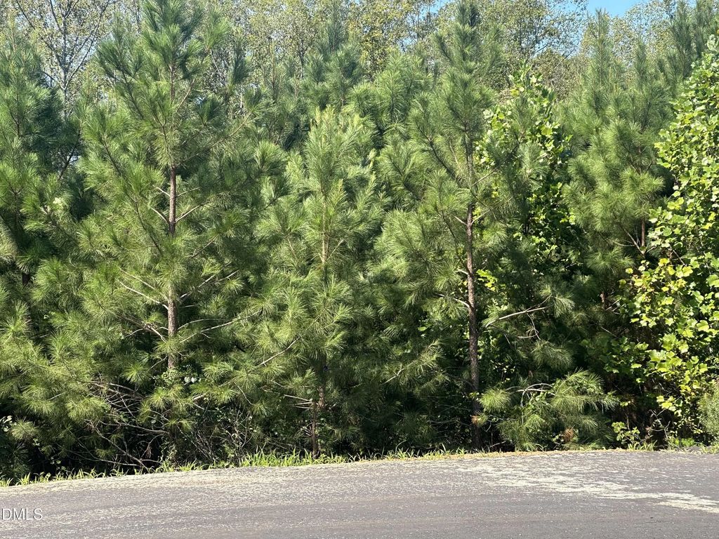 Lot 15 0 W Old Spring Hope Rd, Spring Hope