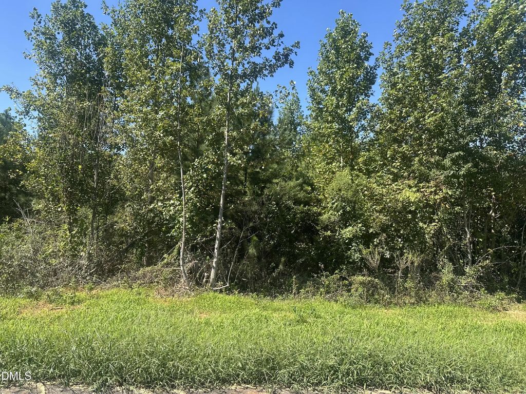 Lot 21 0 W Old Spring Hope Rd, Spring Hope