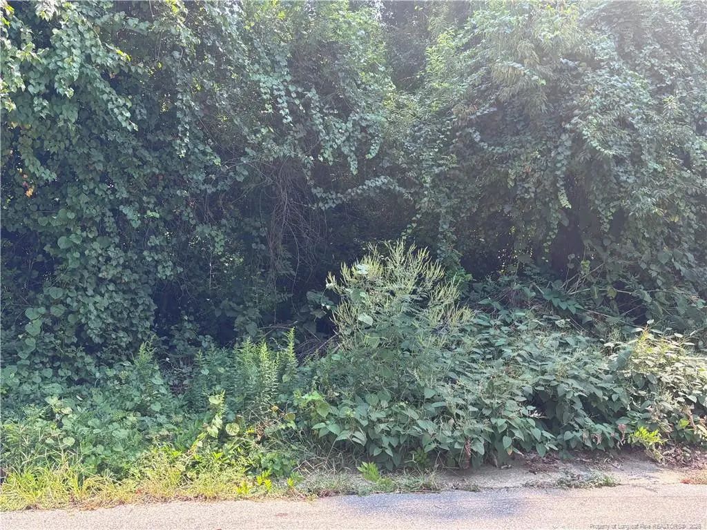 421 Preston Avenue, Fayetteville