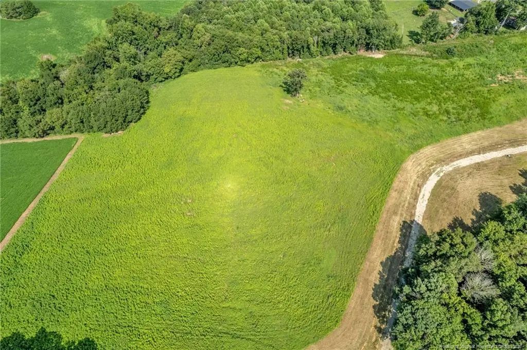 00 Laia Hills (lot 4) Road, Siler City