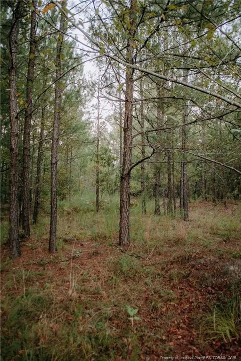 Lot 1-tbd Nighthawk Loop, Aberdeen