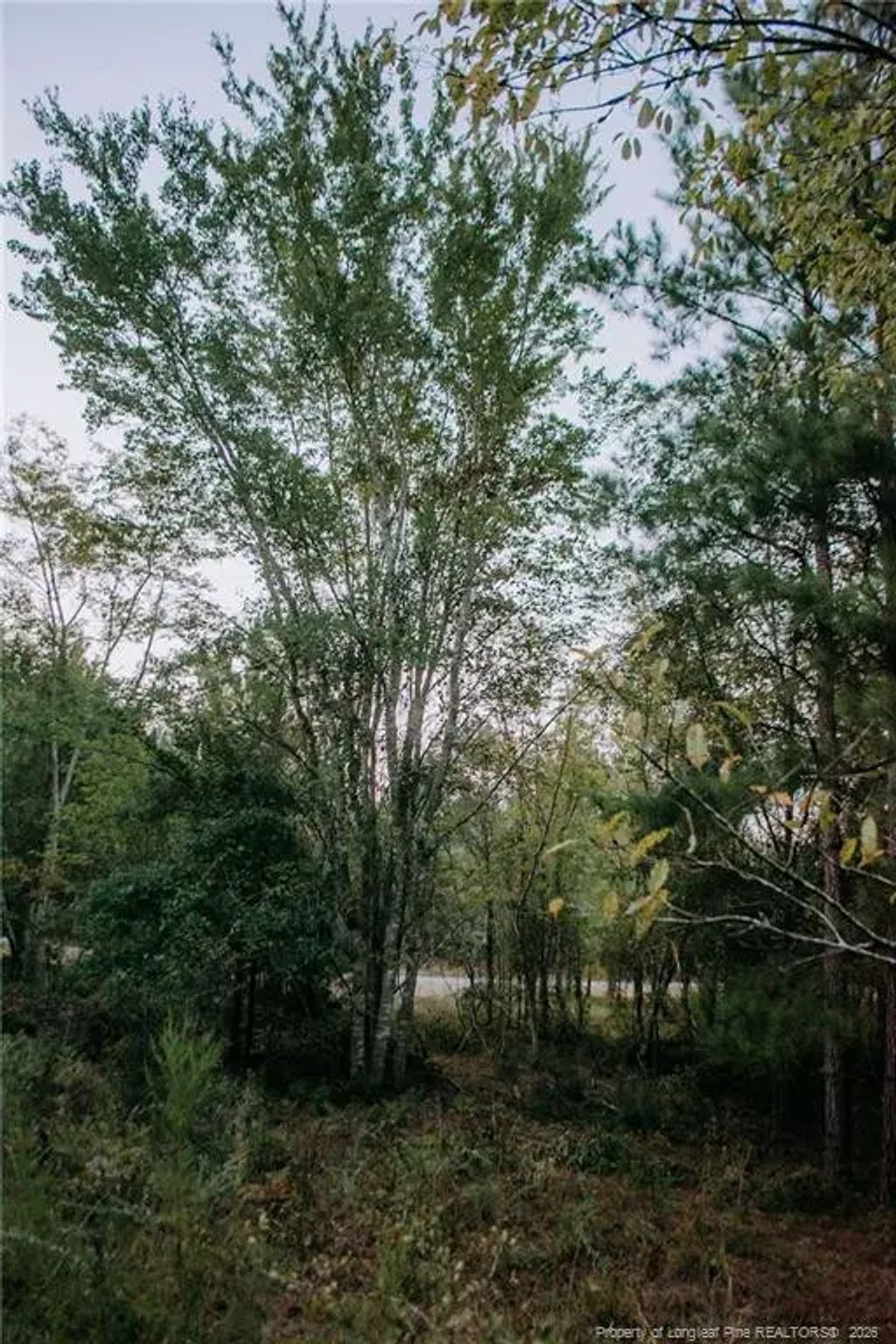 Lot 3-tbd Nighthawk Loop, Aberdeen