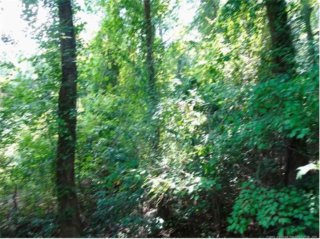000 Gilbert Road, Eastover