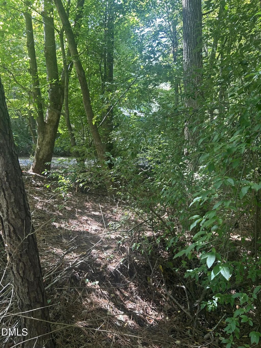 1317 Pine Trail, Clayton