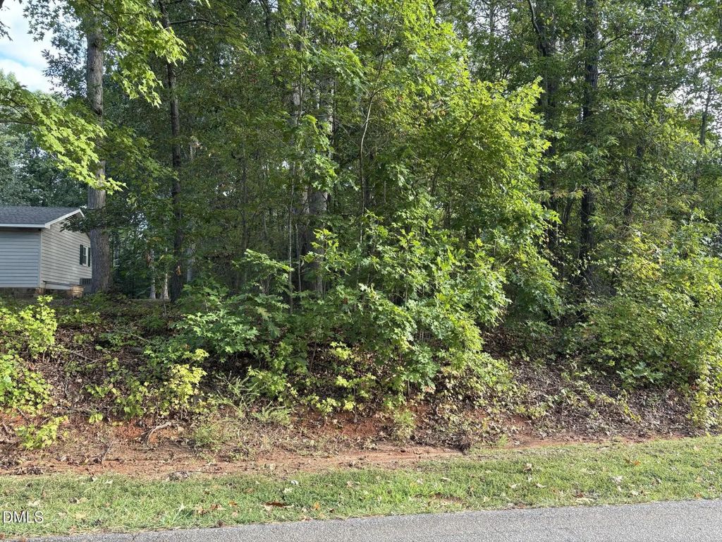 115 Blackfoot Drive, Louisburg