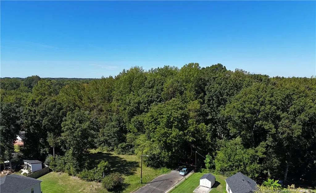 Elderberry Avenue, Charlotte