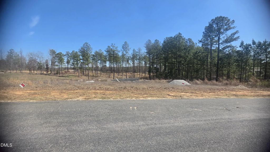 939 Dr Finch Road, Henderson