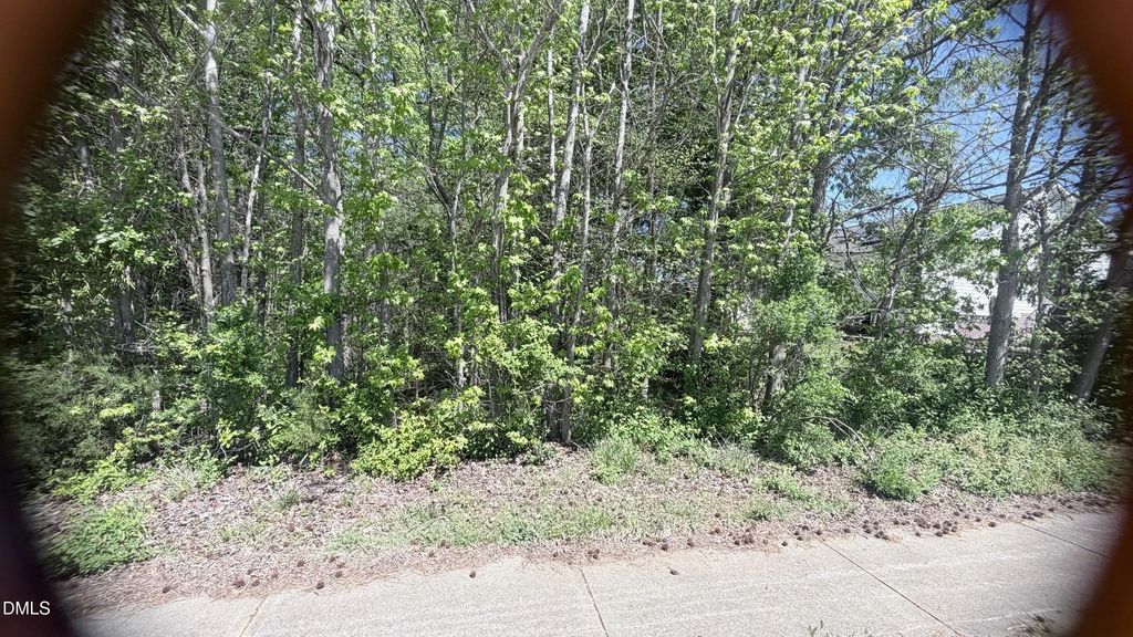 0 Harmony Drive, Siler City