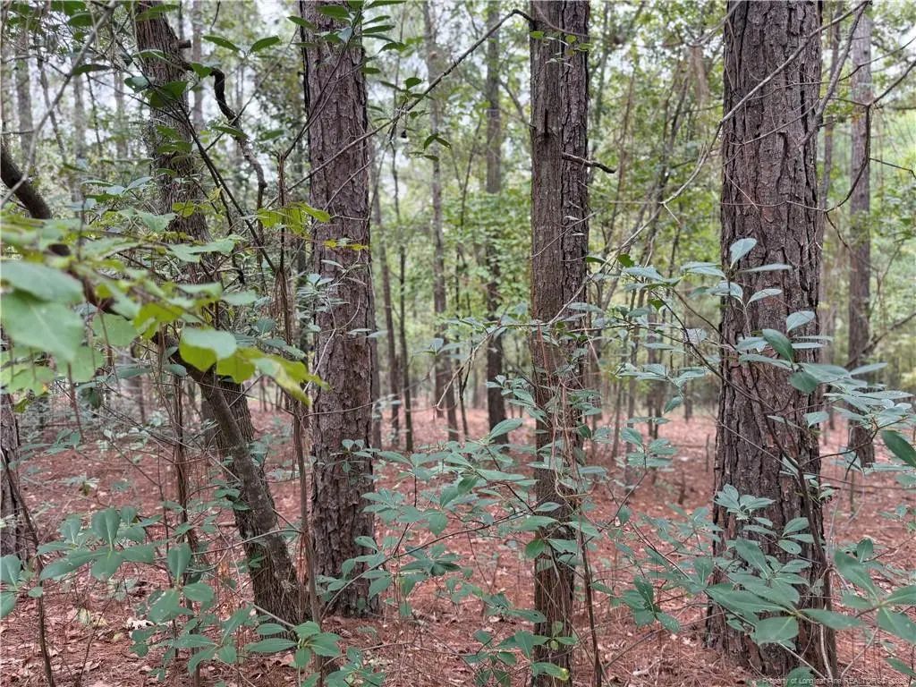 Lot 7a Mumford Road, Raeford