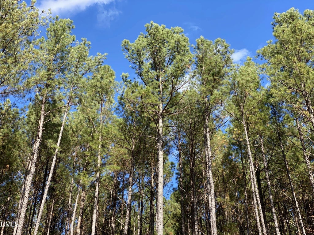 586 Anneliis Lane, Siler City