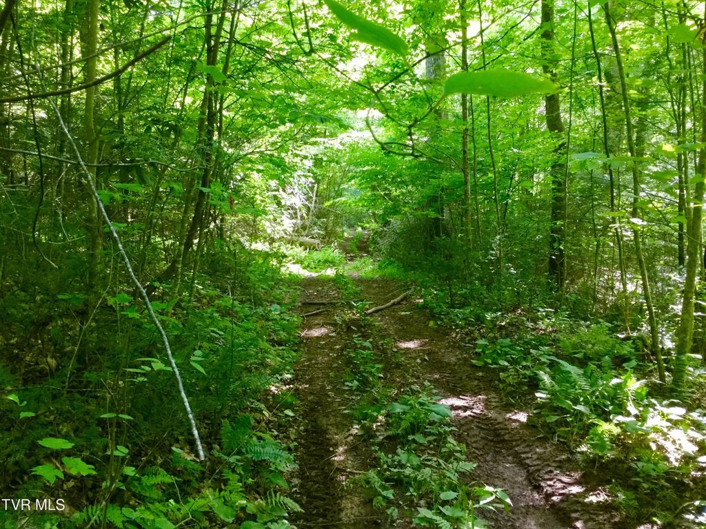 22.83/ac Tbd Sciota Road, Elizabethton
