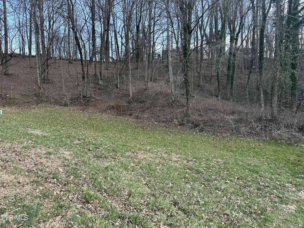 126 Maple Crest, Greeneville