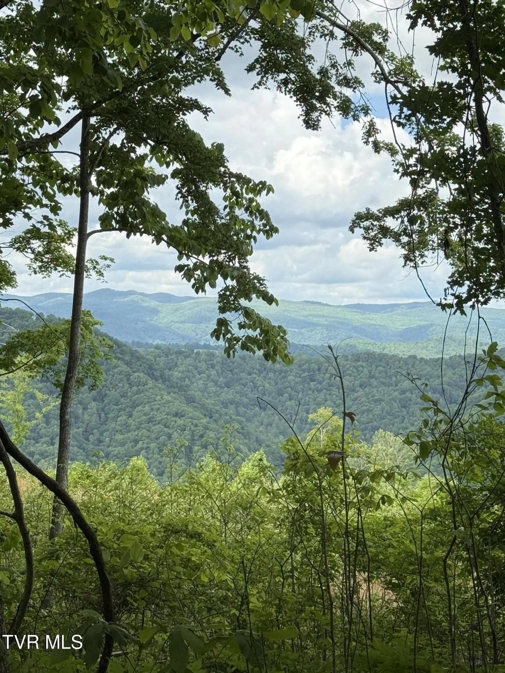 Heavens View (118 Acres) Lane, Gate City