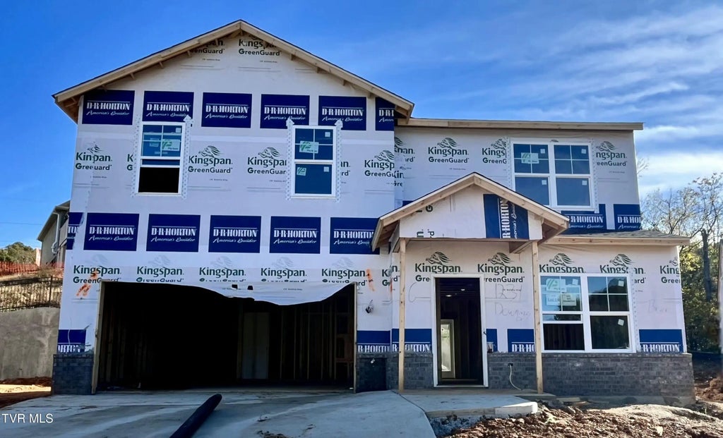 1231 Downing Place, Kingsport