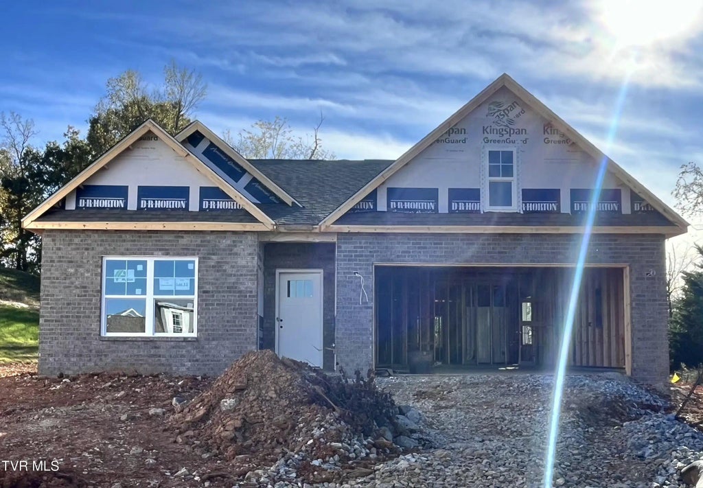 1235 Downing Place, Kingsport