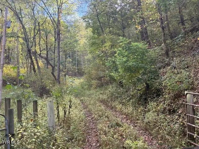 189 Tilson Road, Flag Pond