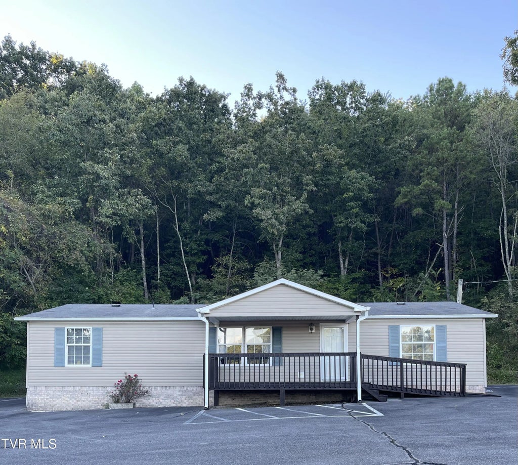 175 Summit Drive, Rogersville