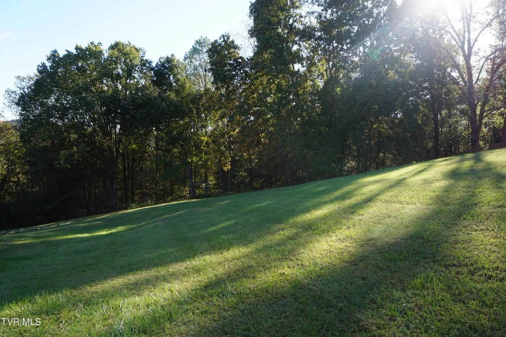 256 Park Ridge Court Kingsport Property Listing: MLS® #9986896