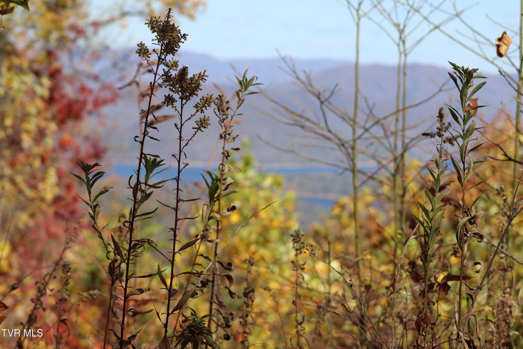 48 Locust Lane, Butler