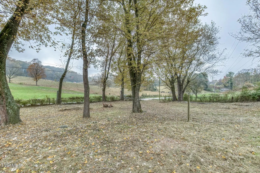 732 Shadowtown Road, Blountville