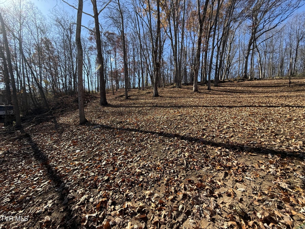 Milligan Highway, Johnson City