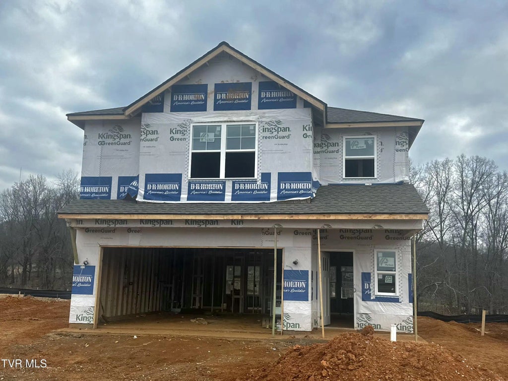 241 Chimney View Loop, Blountville